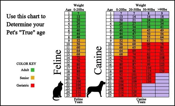 Pet age chart