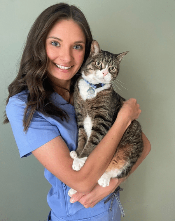 Barker Animal Hospital Team coming soon