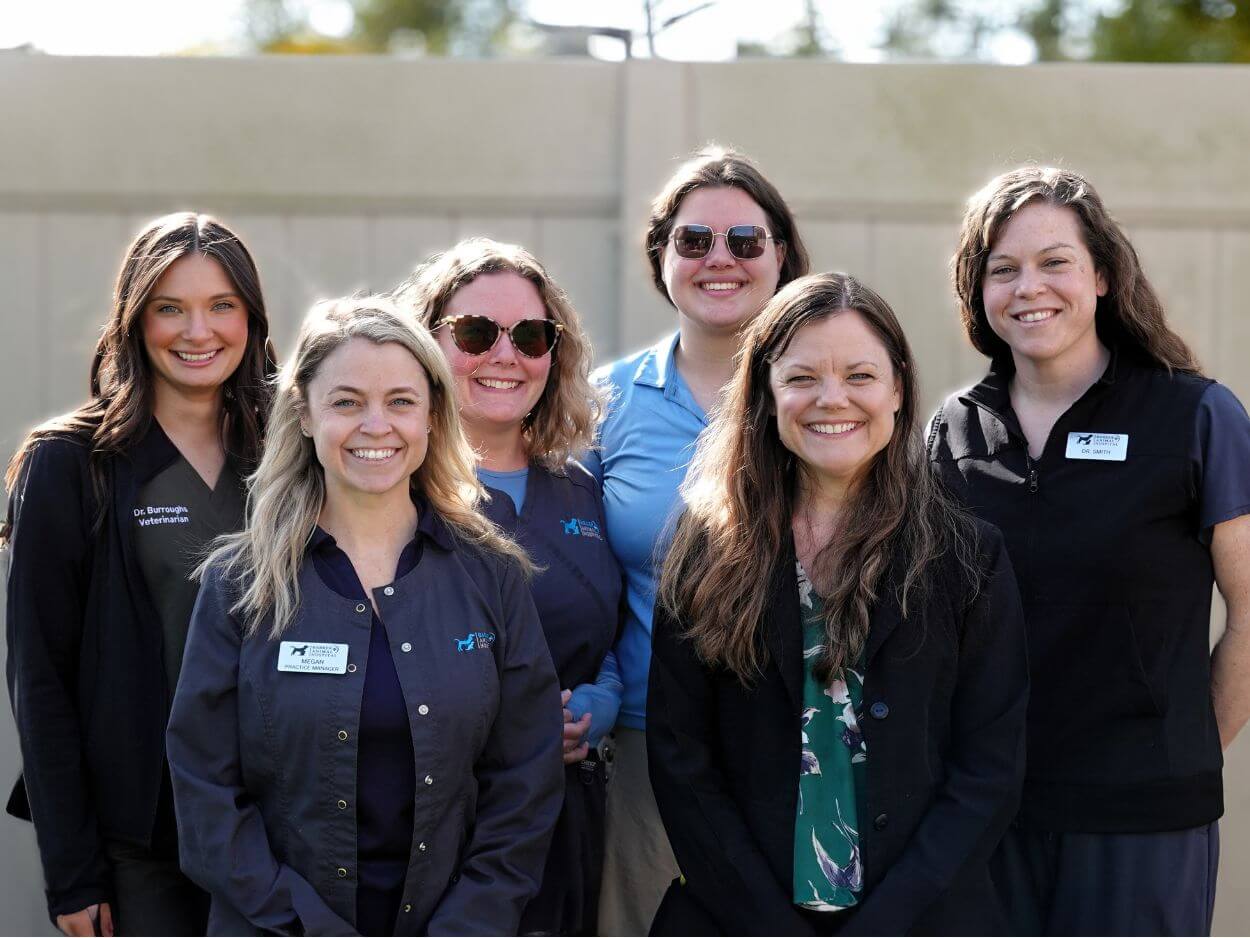 Barker Animal Hospital management team