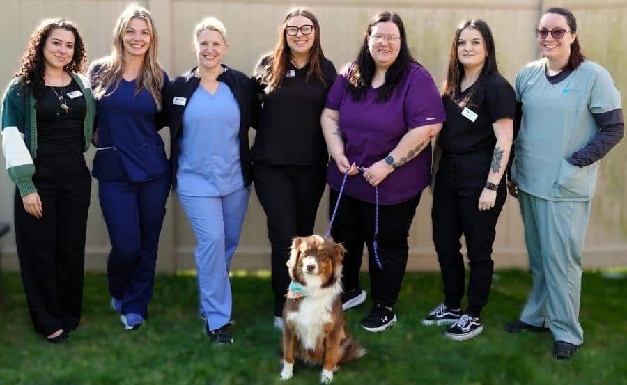 Barker Animal Hospital Team